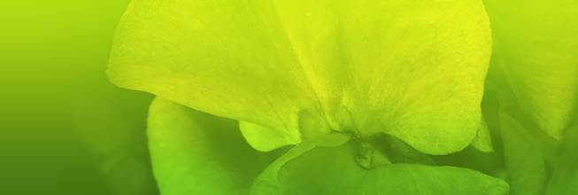 网页攻击器教程